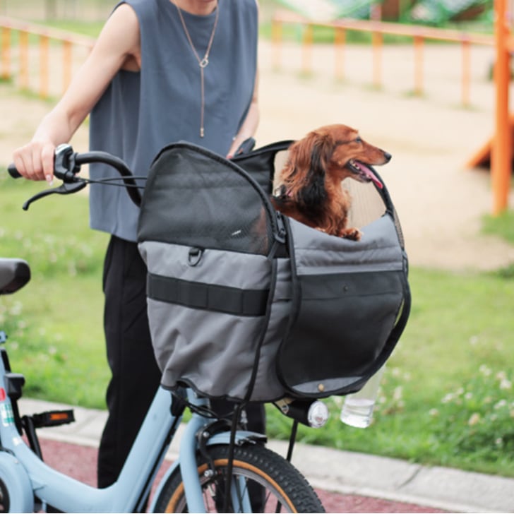 maruto �ڥåȥ���꡼�������С�