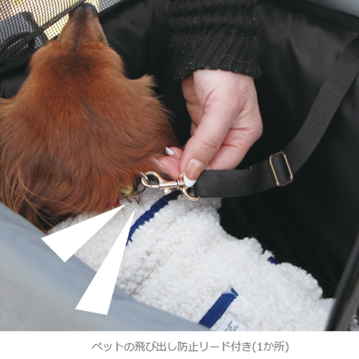 maruto �ڥåȥ���꡼�������С�