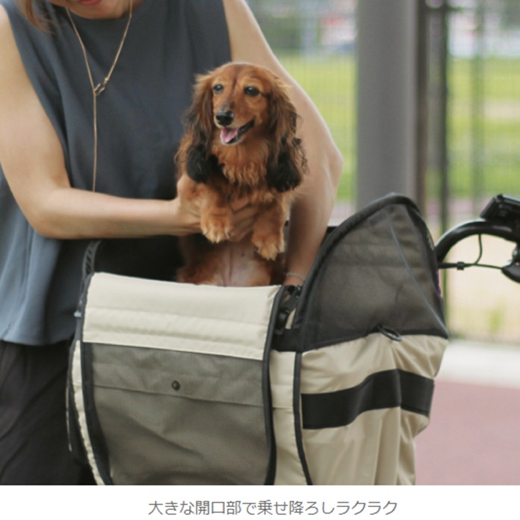 maruto �ڥåȥ���꡼�������С�