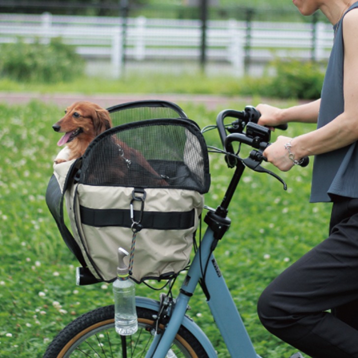 maruto �ڥåȥ���꡼�������С�