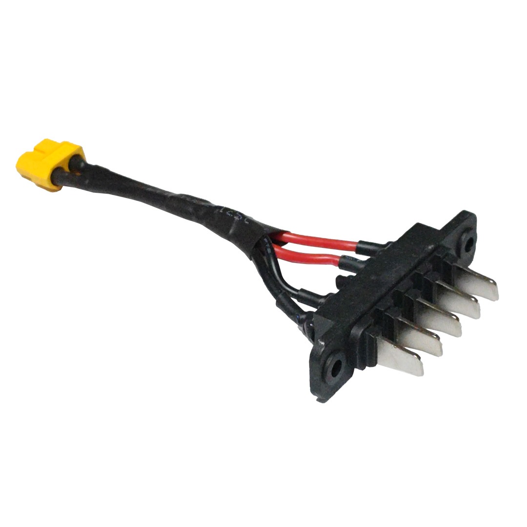 evol �ѽ���ü��