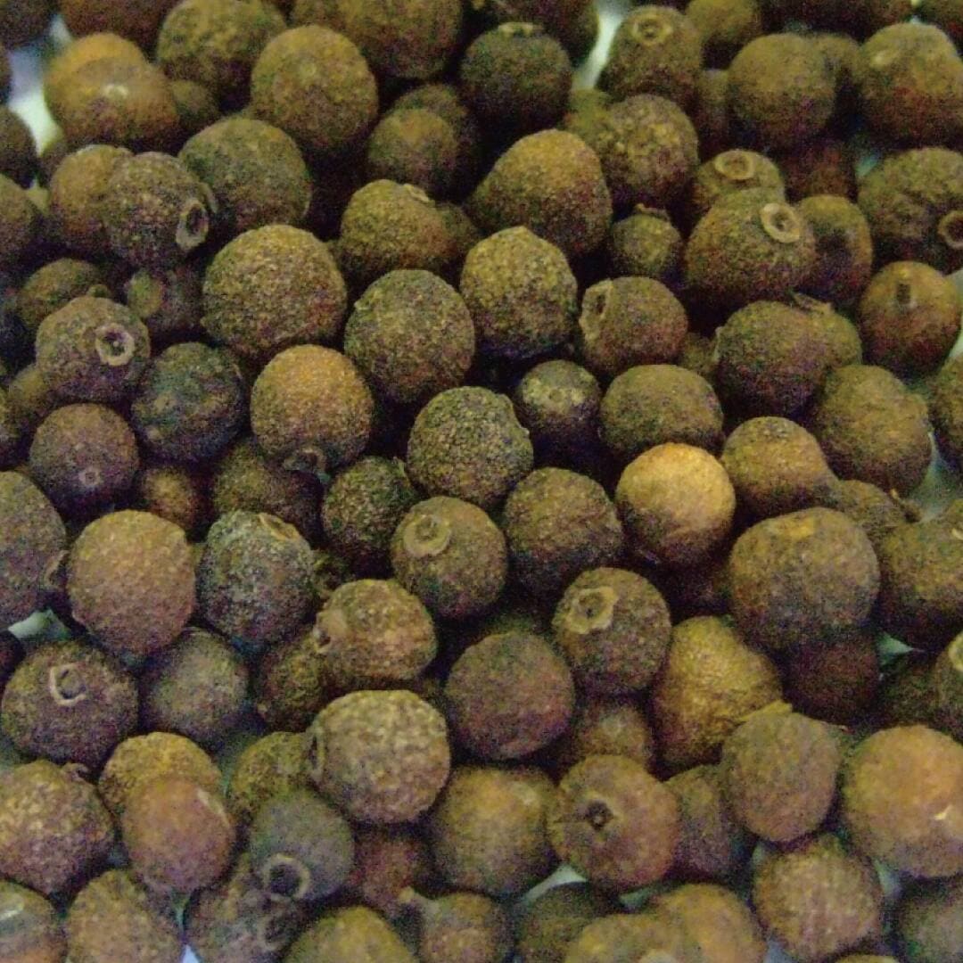 オールスパイス ホール 500g