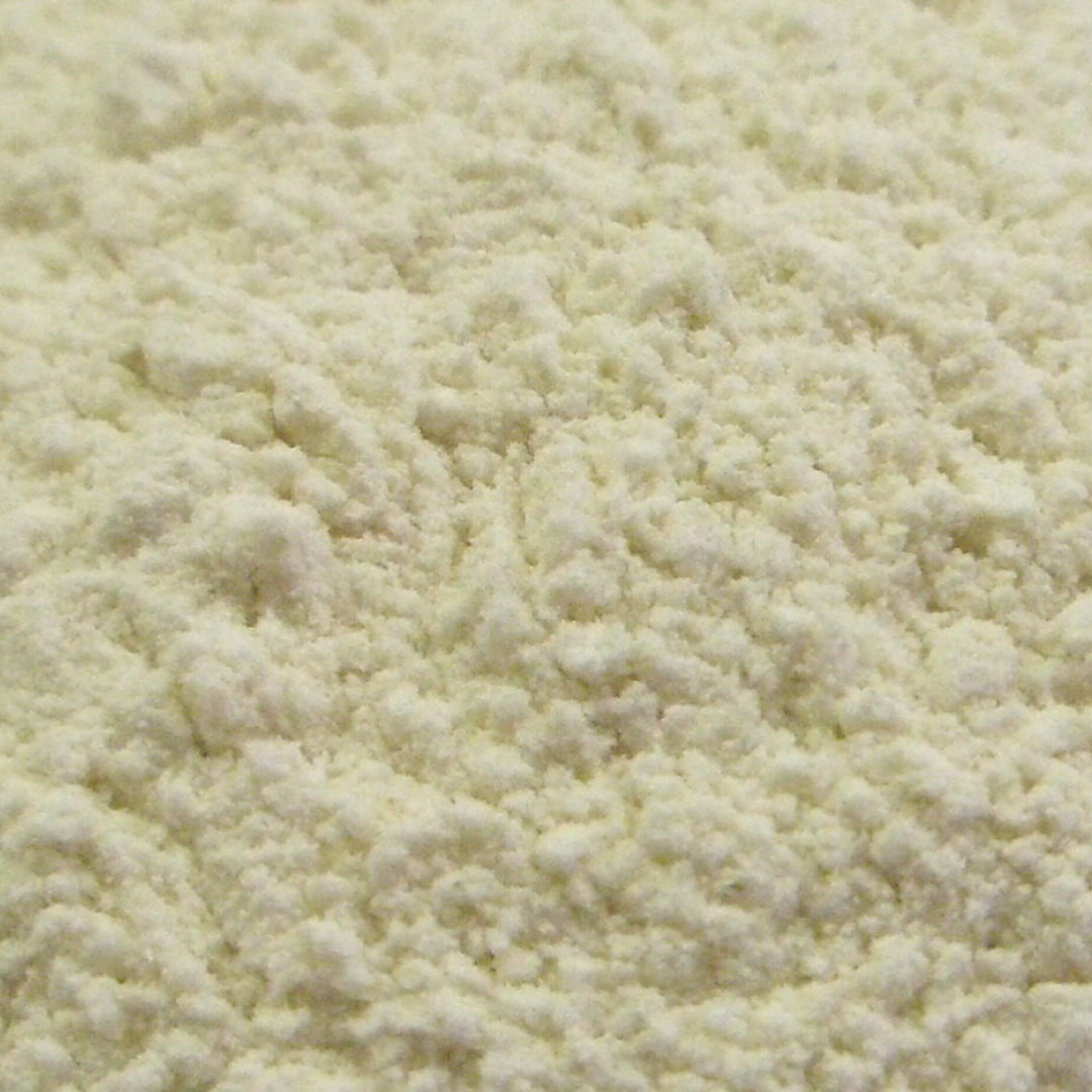 オニオン パウダー 100g