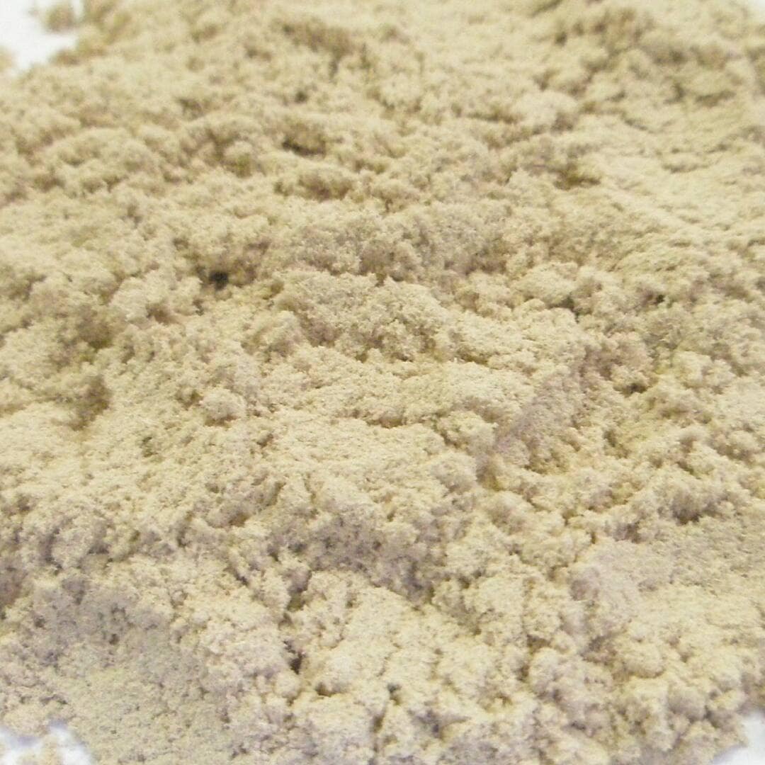 スリッパリーエルム バーク パウダー（ニレ茶） 100g