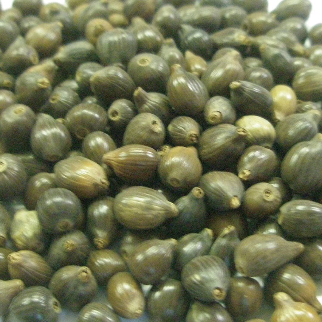 はとむぎ茶 焙煎 ホール 100g