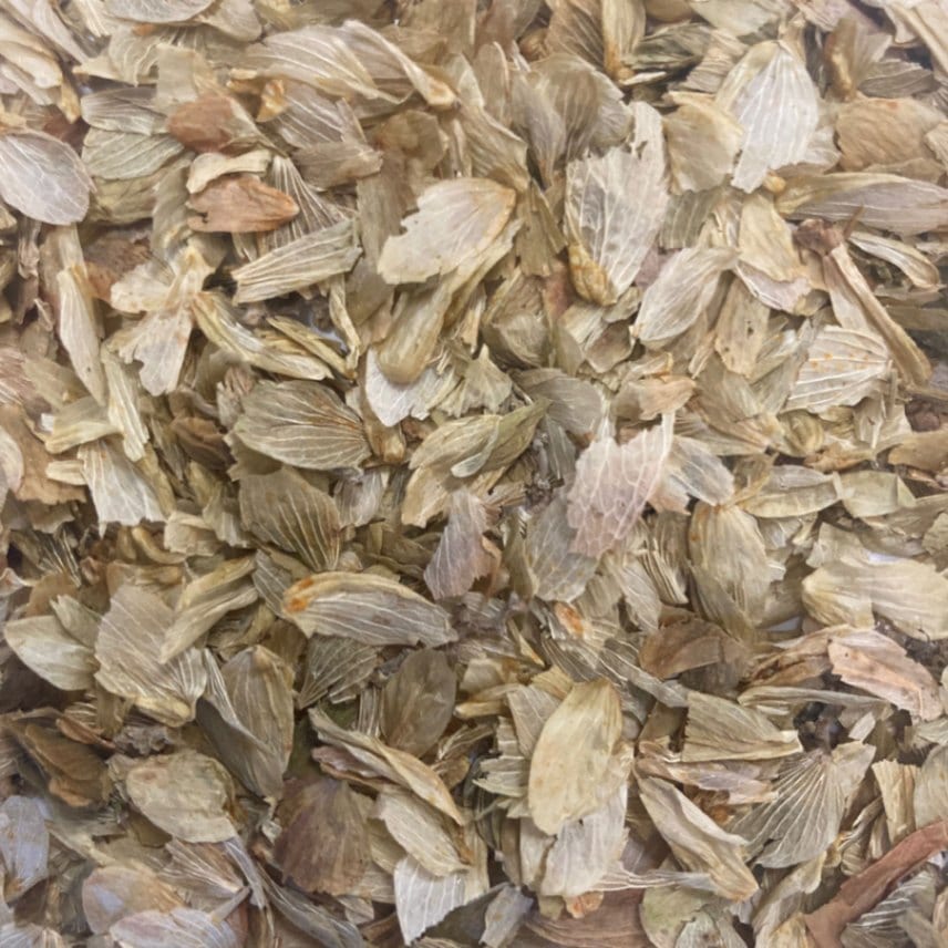 ホップ ホール 100g