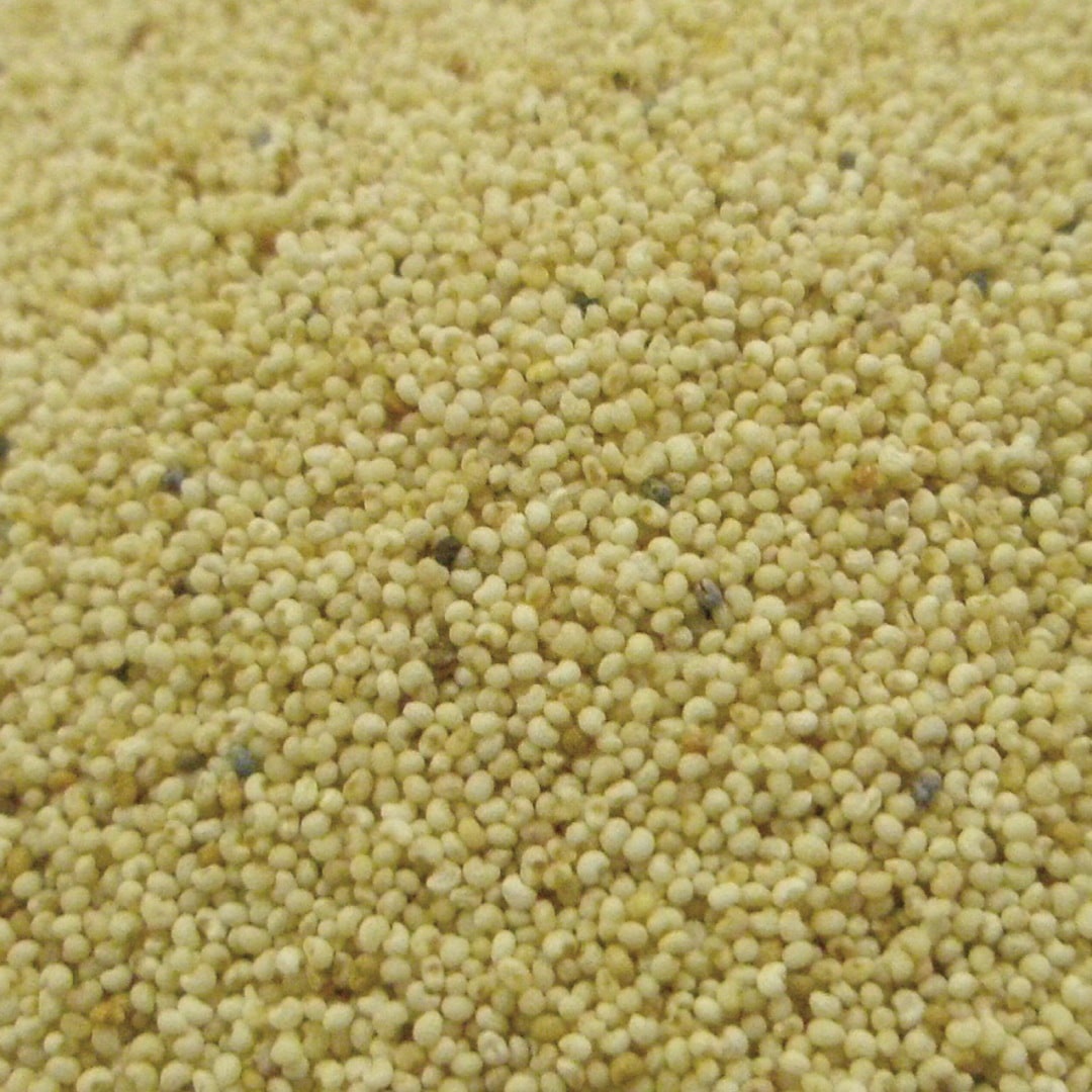 ポピー シード ホール 500g