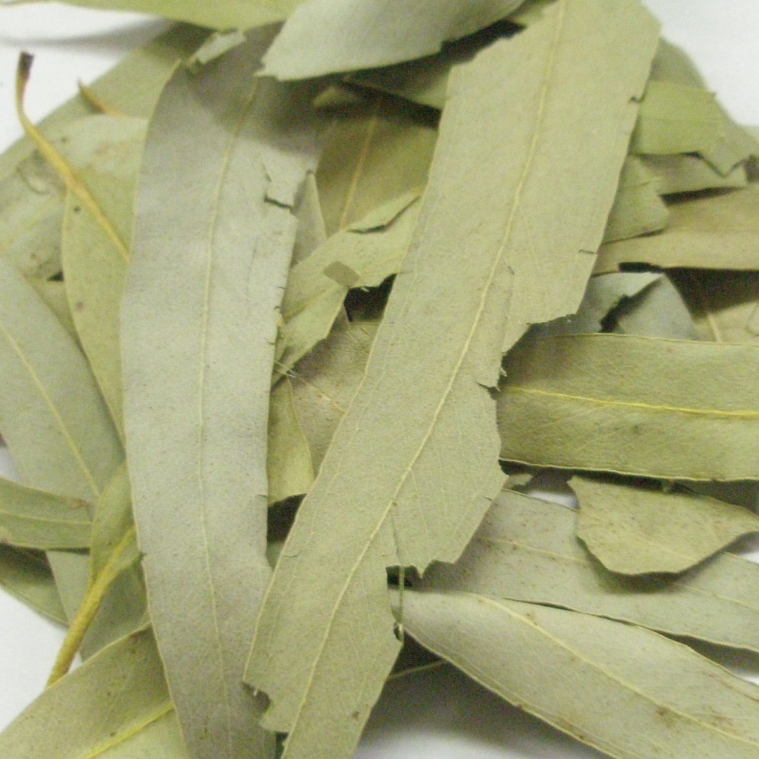 ユーカリ ホール 500g