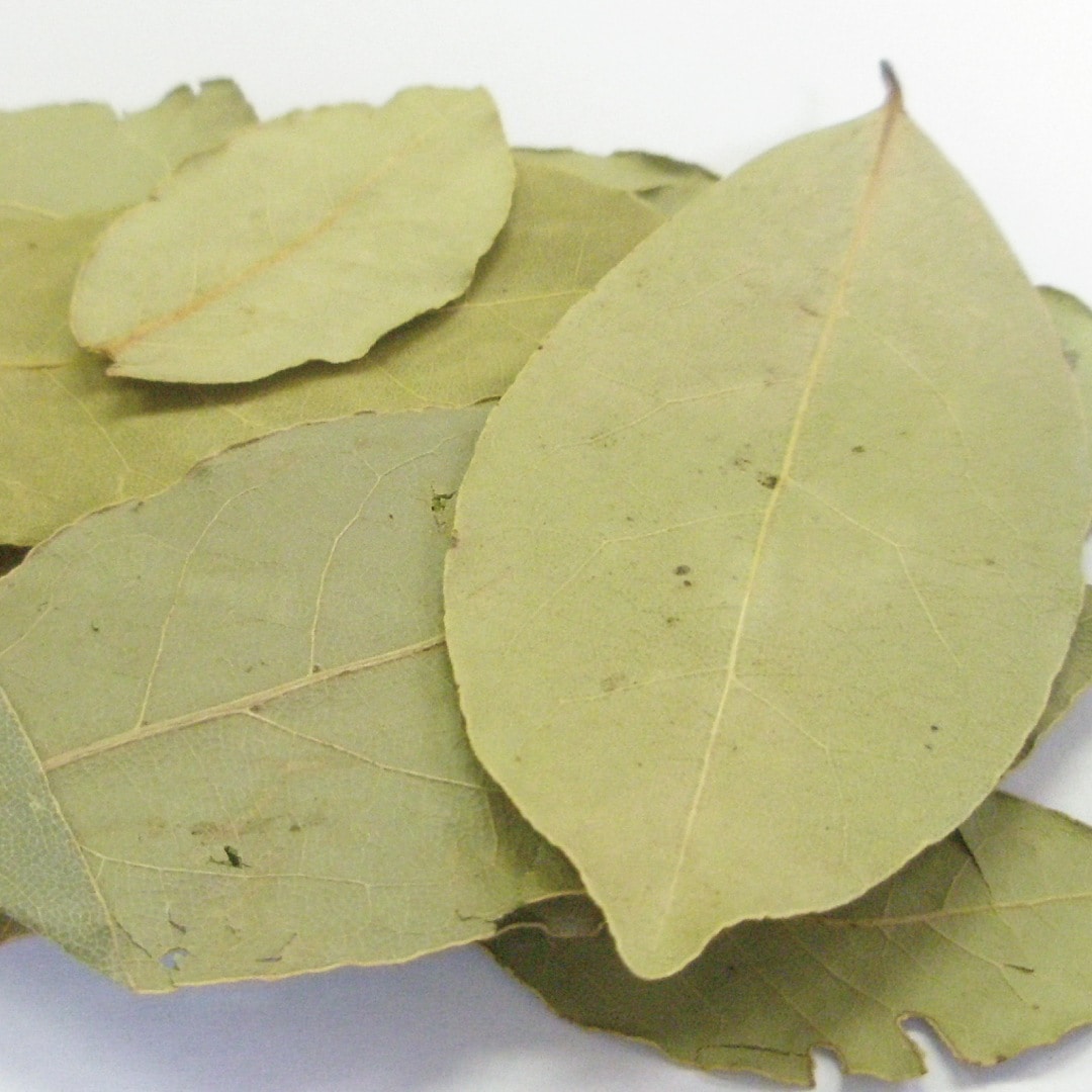 ローレル リーフ ホール 20g