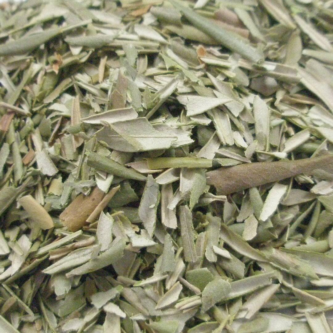 オリーブ リーフ カット オーガニック 20g