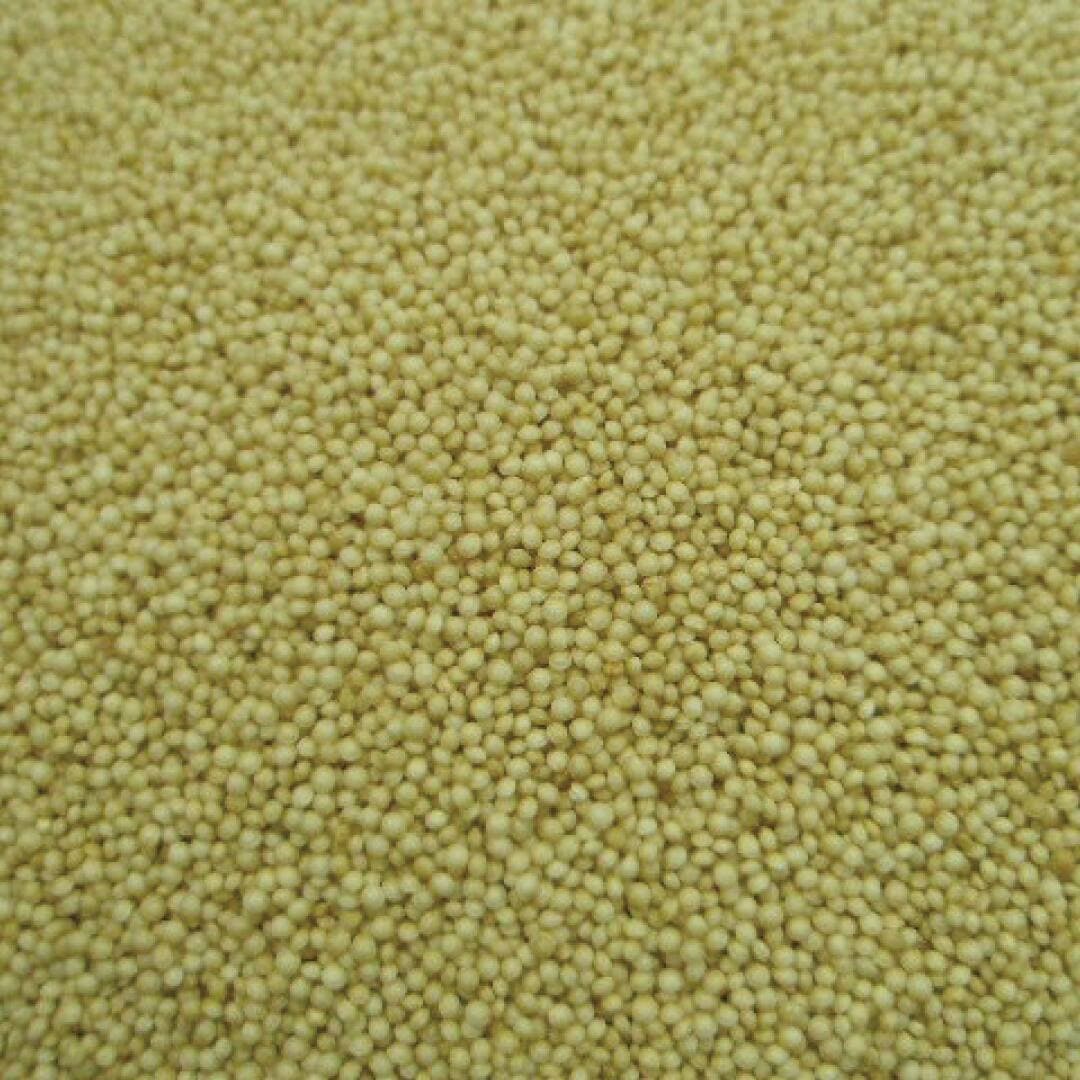 アマランサス シード ホール KBA 20g