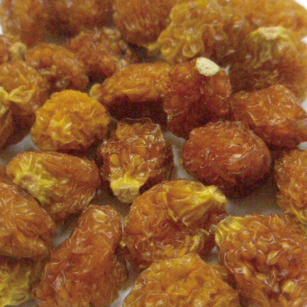 【長期欠品】ゴールデンベリー/インカベリー ホール オーガニック 100g