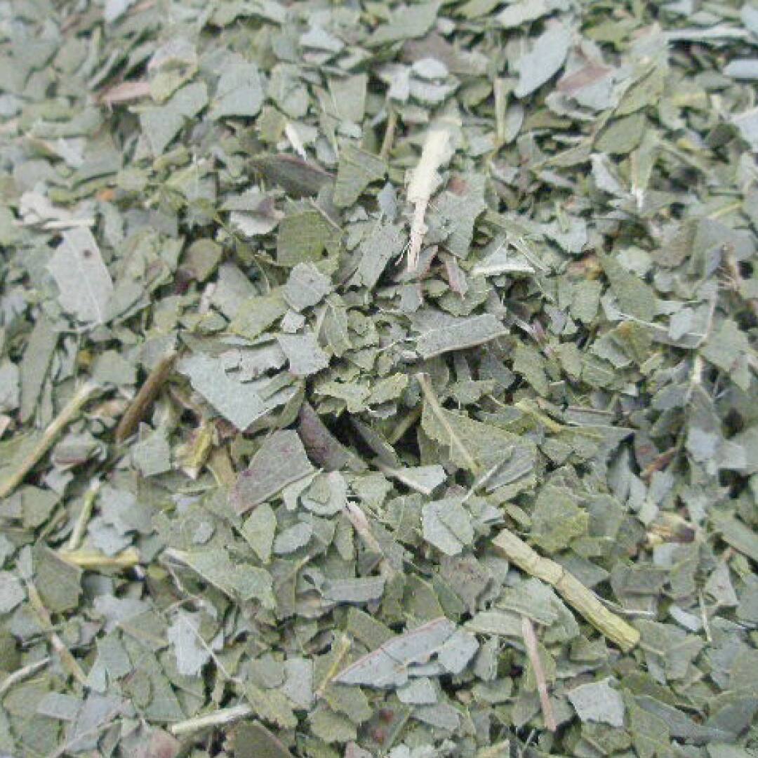 【入荷未定】ユーカリ リーフ カット オーガニック 500g