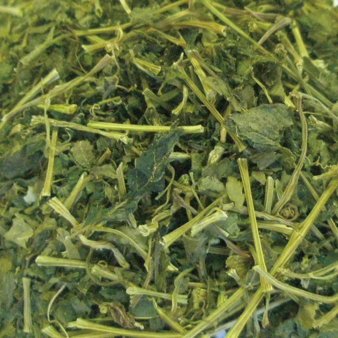 アマチャヅル カット大 日本産 20g