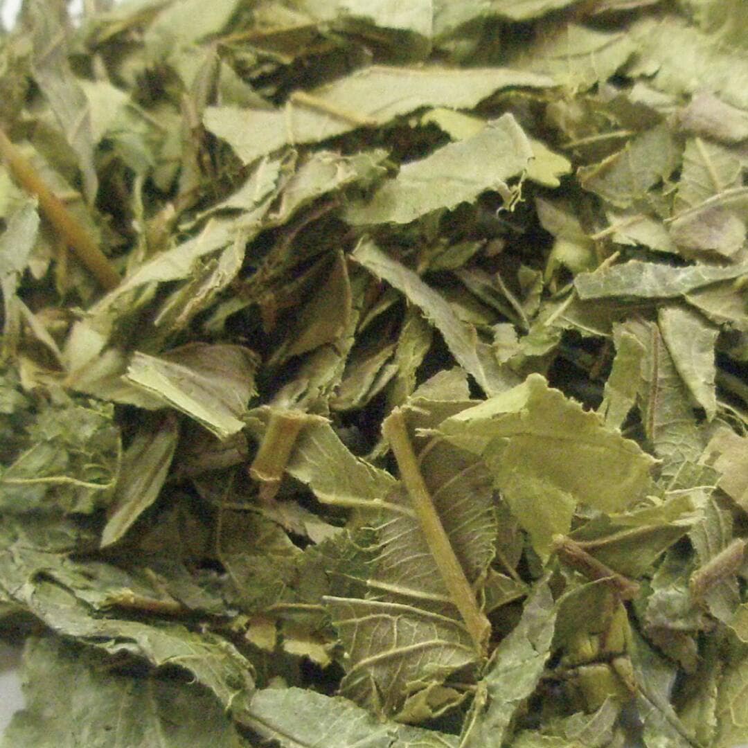 グァバ葉 カット大 20g