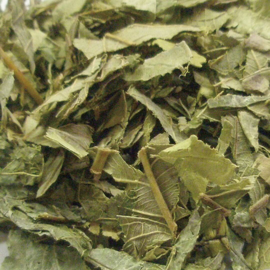 グァバ葉 カット大 100g