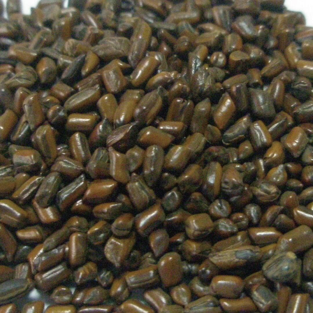 はぶ茶 焙煎 ホール 100g