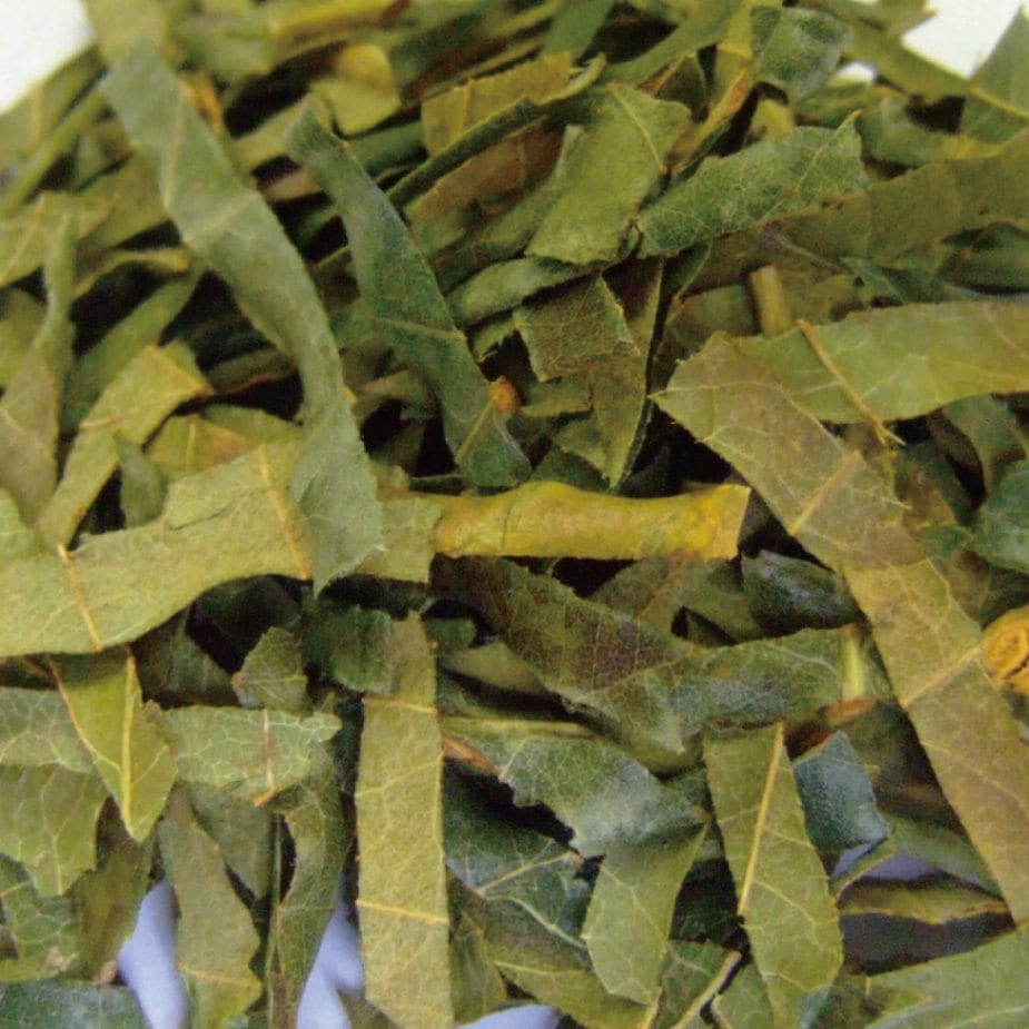 ビワヨウ/枇杷葉 カット大 日本産 100g