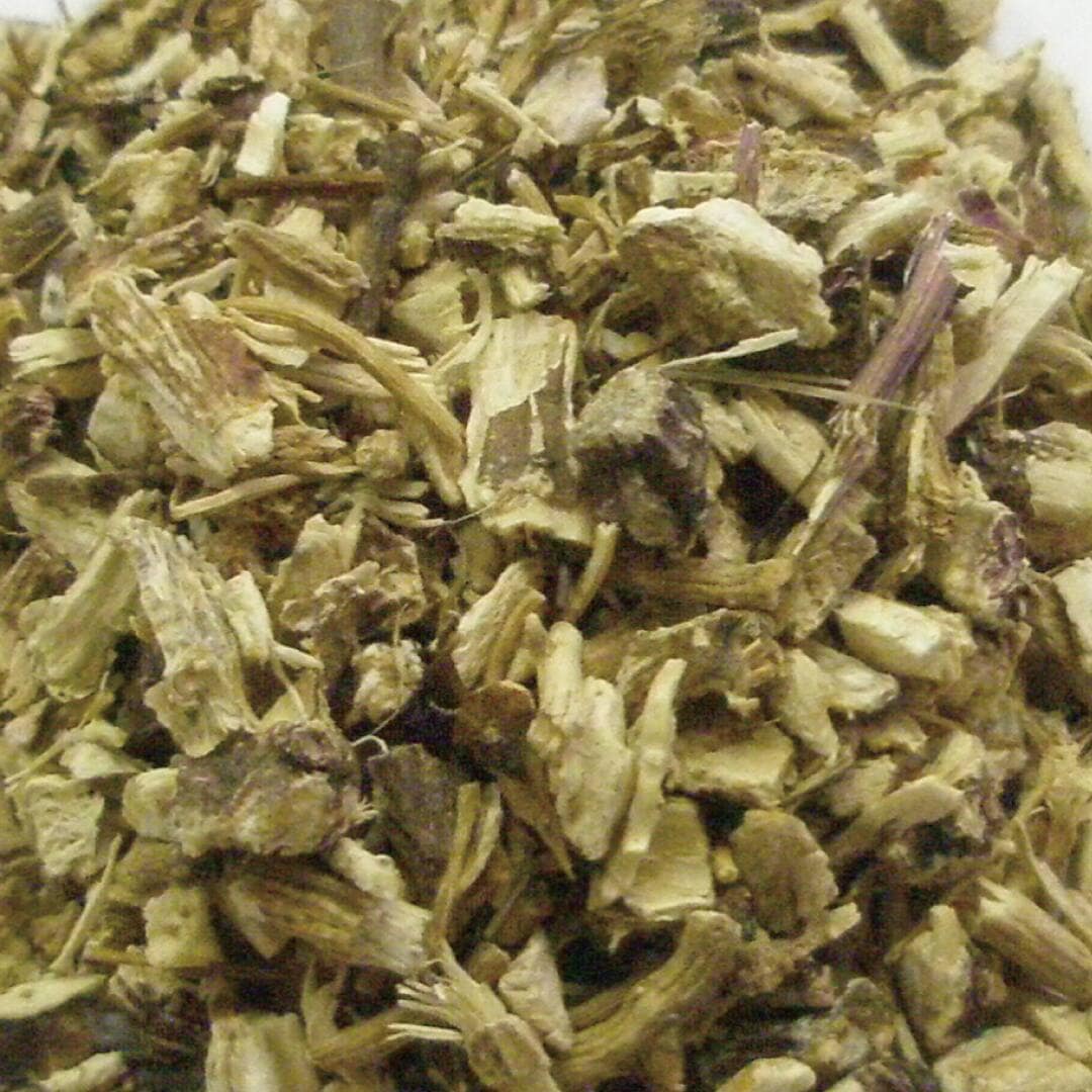 エキナセア ルート カット オーガニック 20g