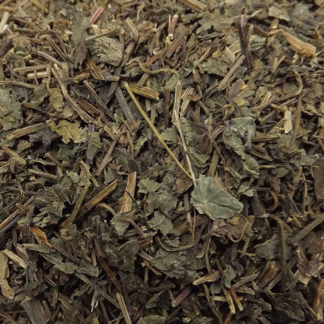 カキドオシ/垣通し/レンセンソウ/蓮銭草 カット 100g