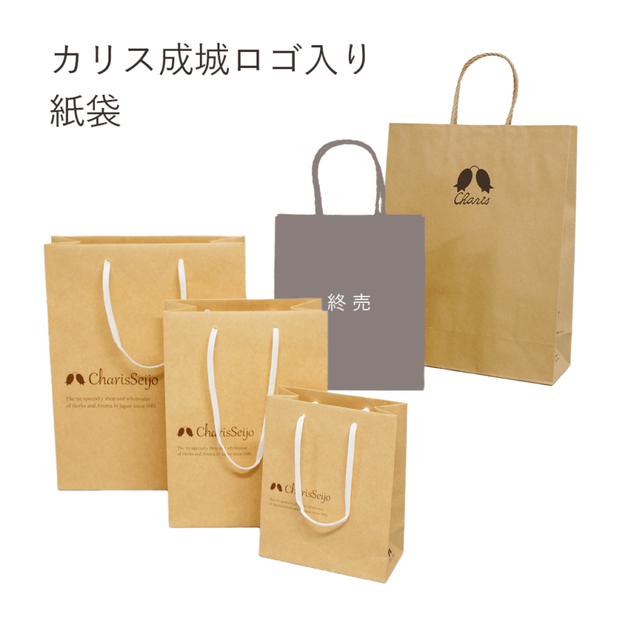 紙袋(ショッピングバッグ)