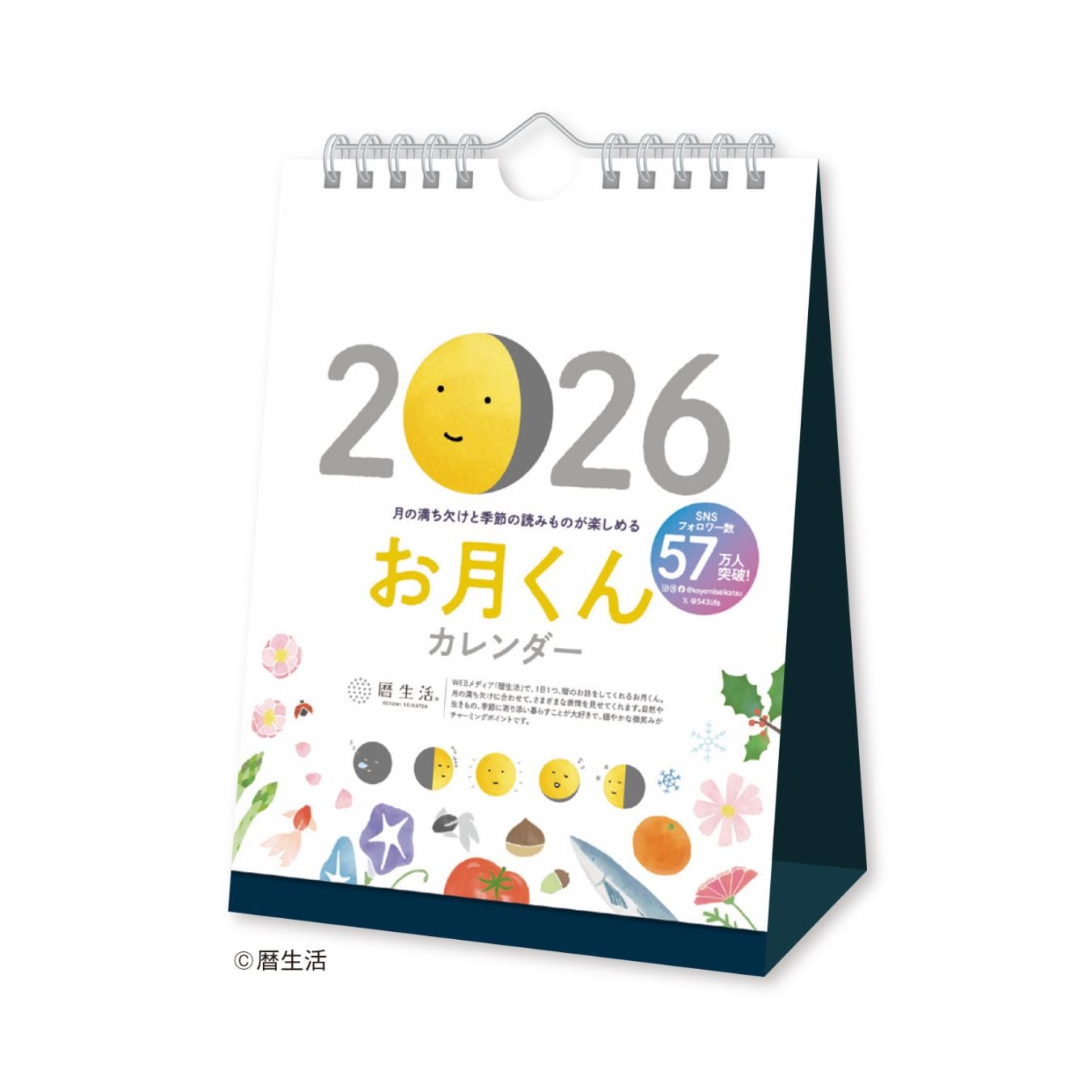 終売】【2026年版】月と暦 日めくりカレンダー [暦生活