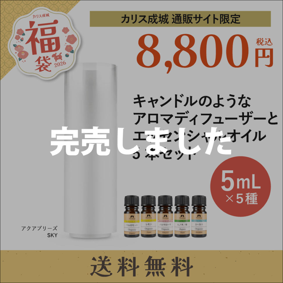 送料無料】 アロマが楽しめる芳香器とエッセンシャルオイル3本セット