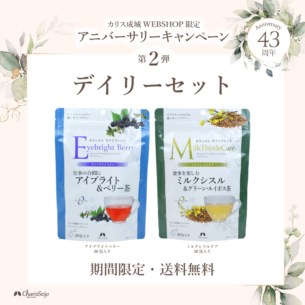 【送料無料】毎日を心地よく デイリーセット [2026 創業祭]