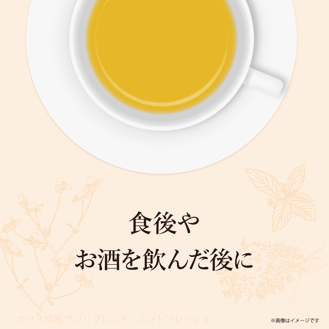 【終売：リニューアル品あり】ハーブティーテトラTB ミントフレッシュ 16包入り