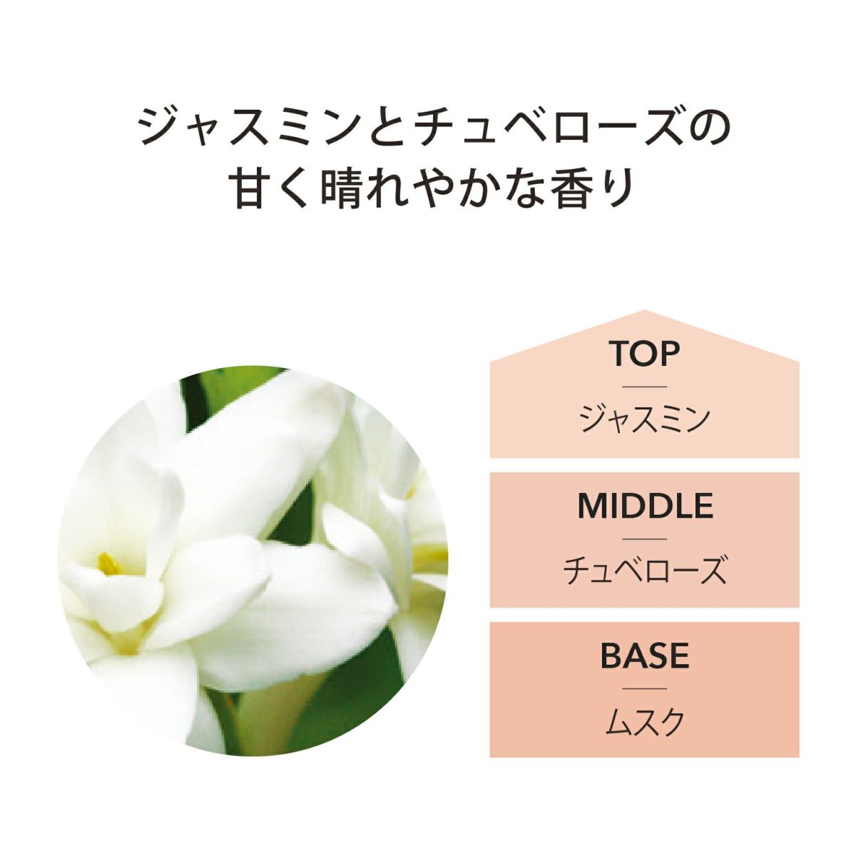 ランプフレグランス ジャスミン＆チュベローズ 500ml [アシュレイ＆バーウッド ]