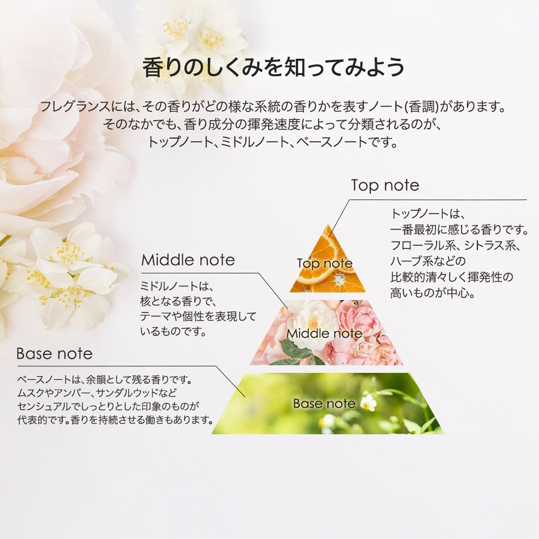 ランプフレグランス ライム＆バジル 500ml フレグランスランプ用オイル [アシュレイ＆バーウッド ]