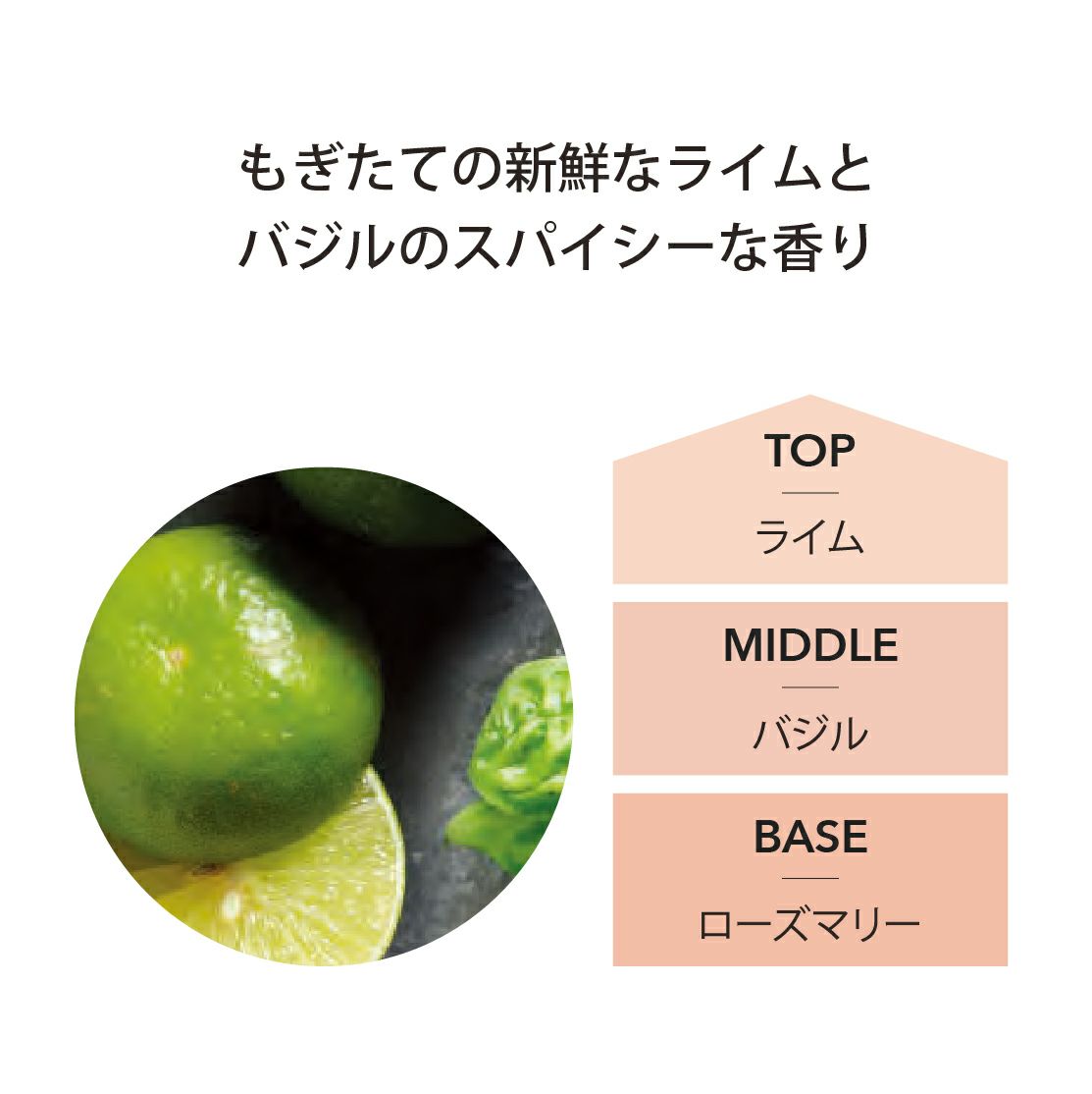 ランプフレグランス ライム＆バジル 500ml フレグランスランプ用オイル [アシュレイ＆バーウッド ]