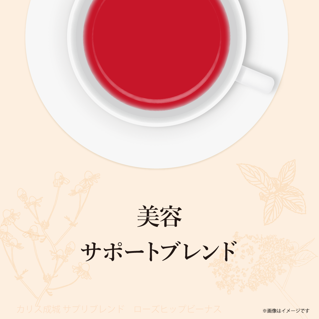 【終売：リニューアル品あり】ハーブティーテトラTB ローズヒップビーナス 16包入り