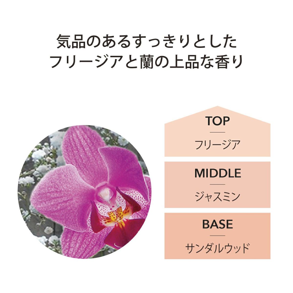 ランプフレグランス フリージア&オーキッド 500ml フレグランスランプ用オイル [アシュレイ＆バーウッド ]