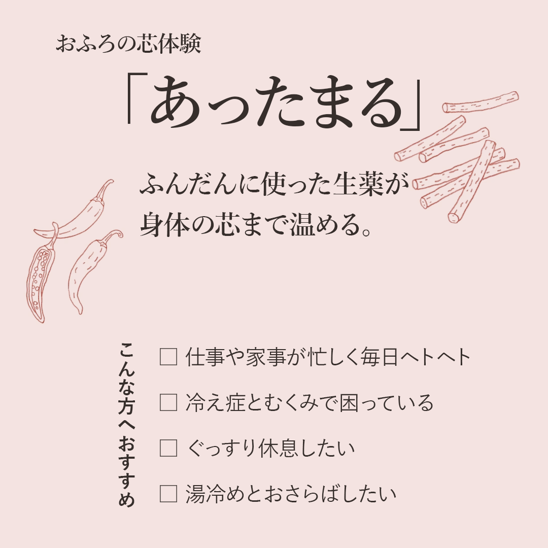 おふろの芯体験【あったまる】生薬煎 分包 [松田医薬品]