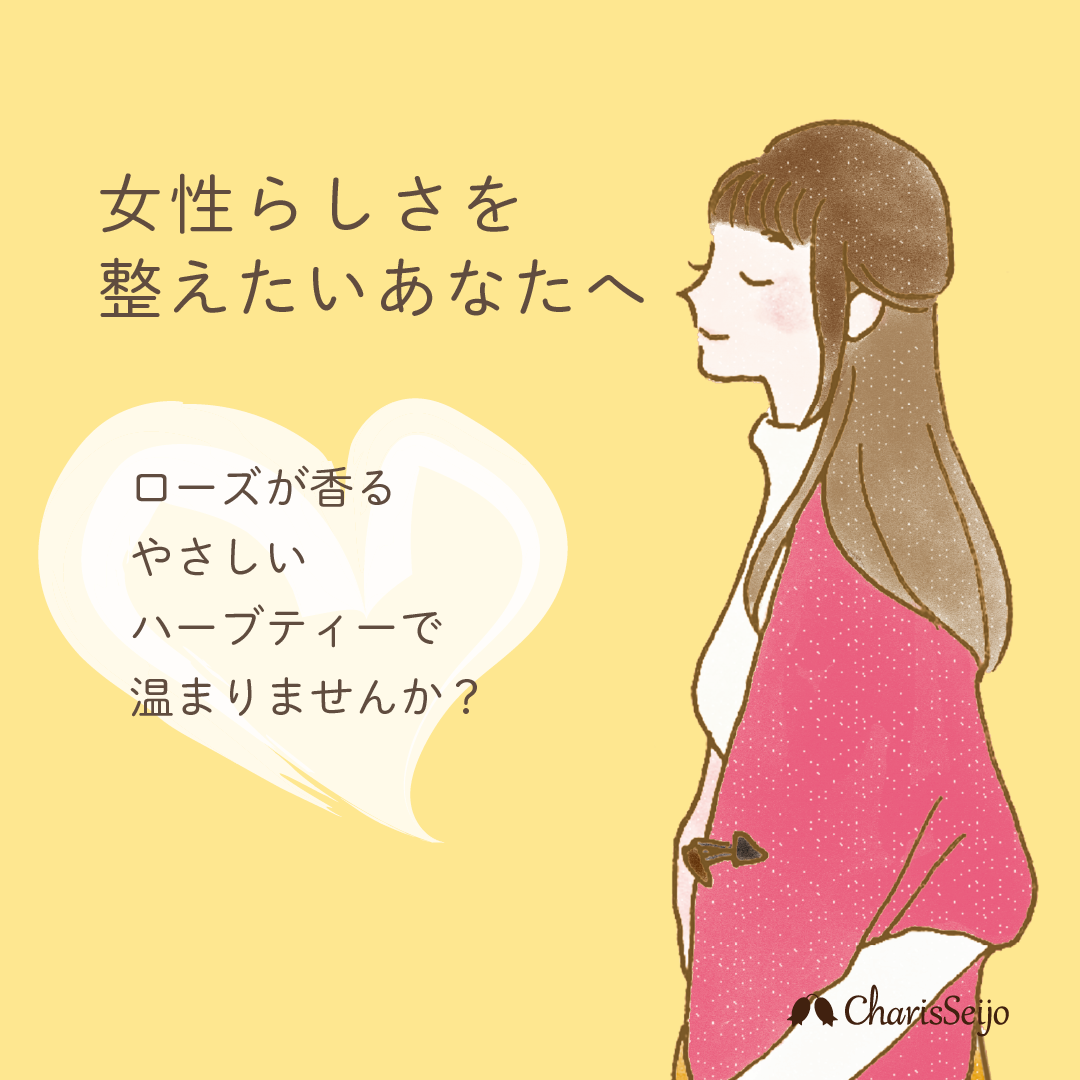 エンジェルカム 30包入り  袋入り<妊娠前の女性に> [マム＆ベイビーシリーズ]