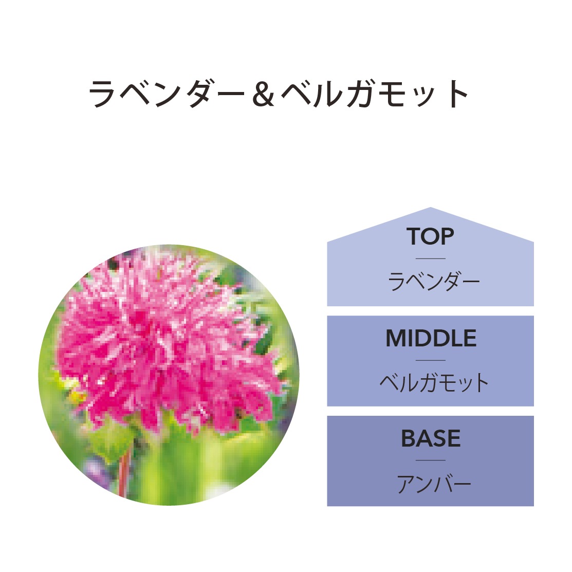 リードディフューザー 200mL ラベンダー&ベルガモット [アシュレイ＆バーウッド ]