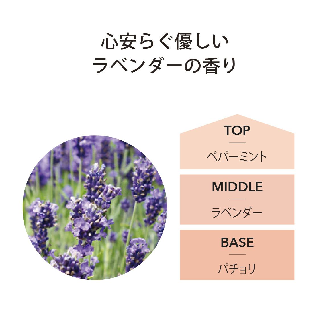 ランプフレグランス ラベンダー 500ml [アシュレイ＆バーウッド ]