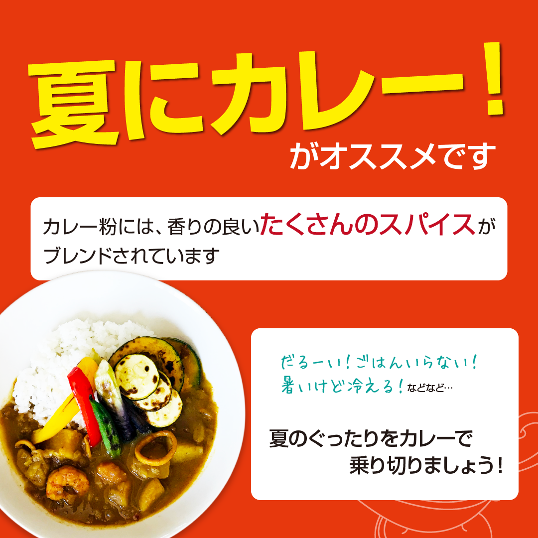 森のスパイスカレー 野草茶入り中辛カレー(4人分)袋入り