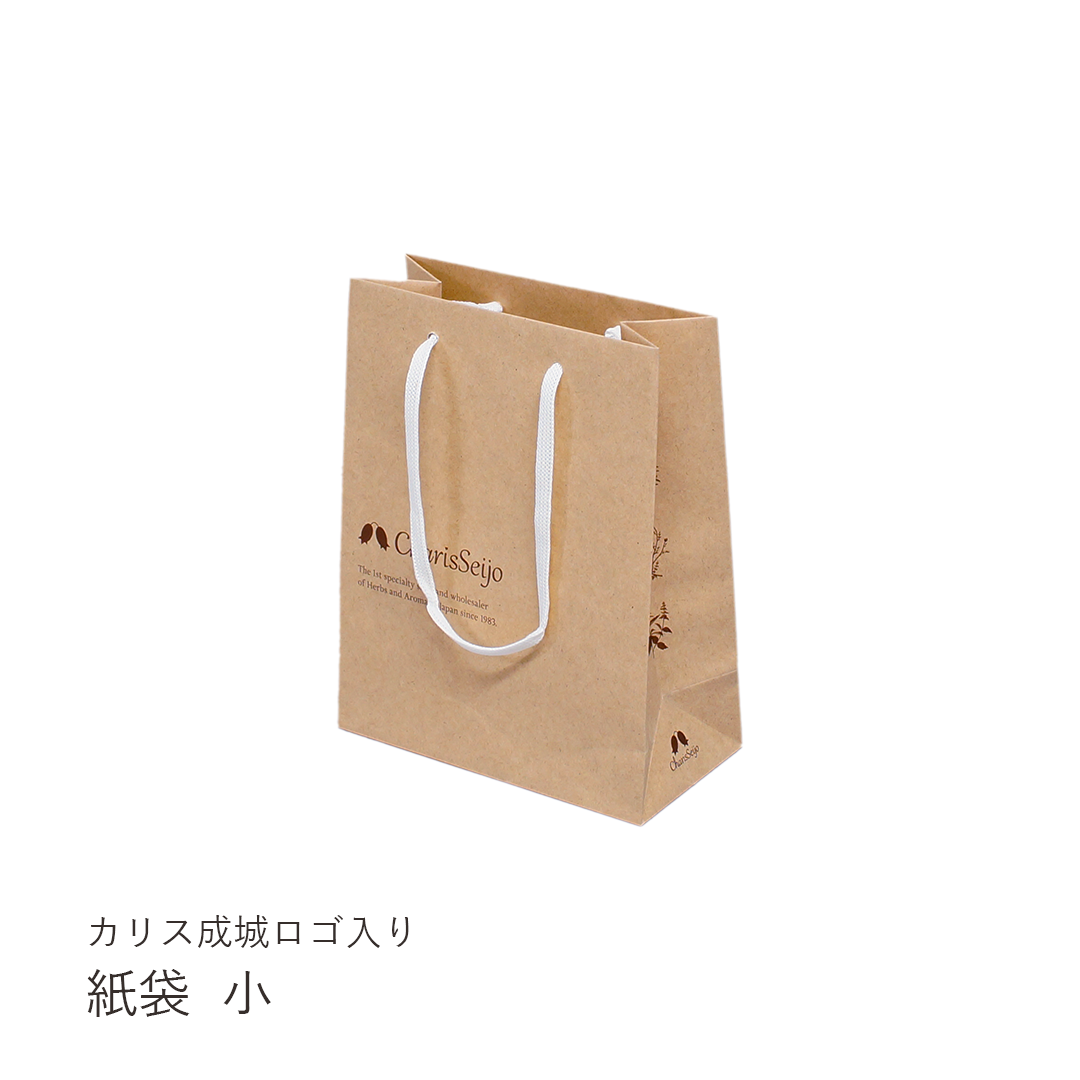 紙袋（ショッピングバッグ）