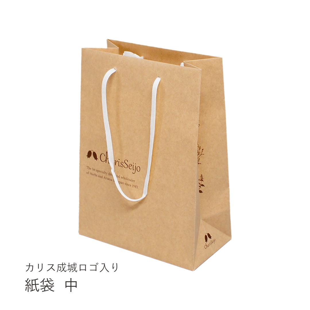 紙袋（ショッピングバッグ）