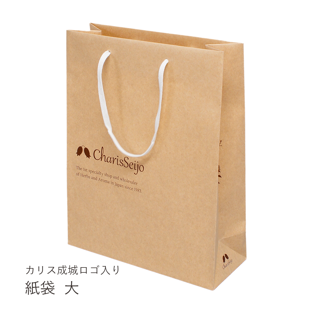 紙袋（ショッピングバッグ）