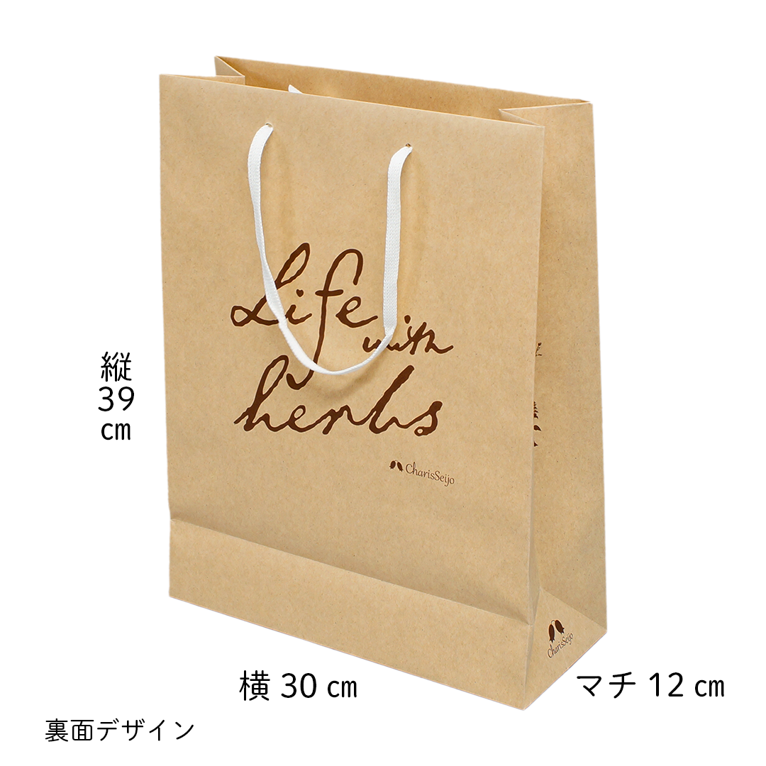 紙袋（ショッピングバッグ）