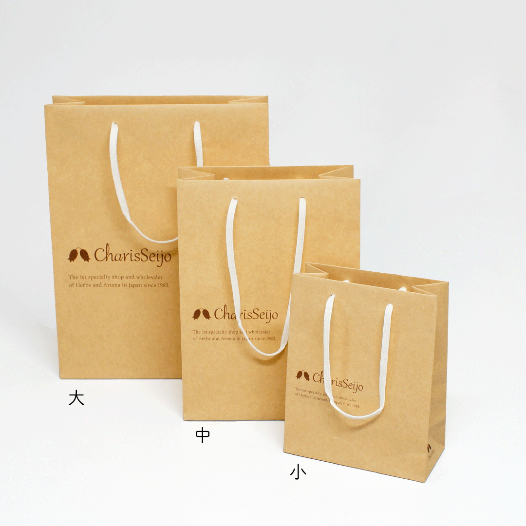 紙袋（ショッピングバッグ）