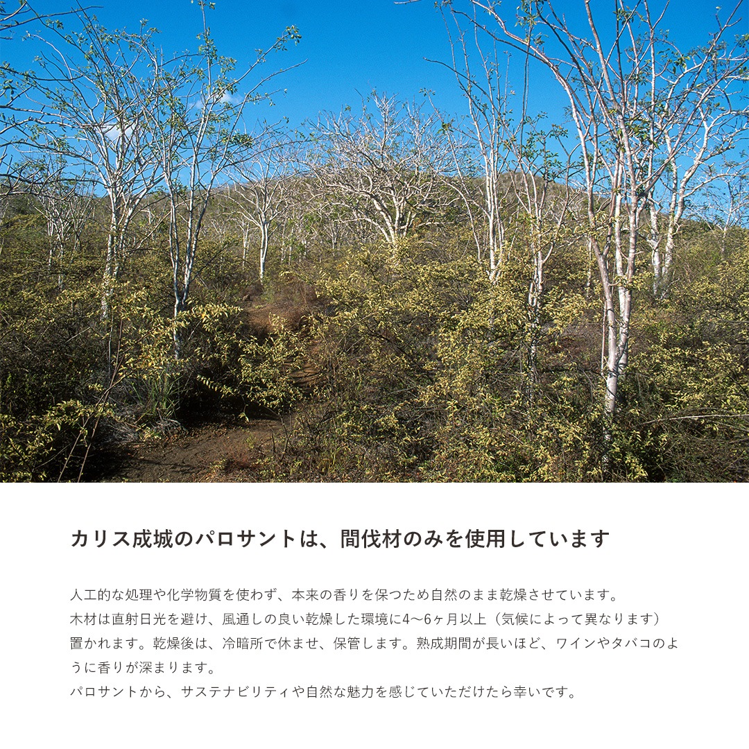 香木　パロサント/聖なる樹