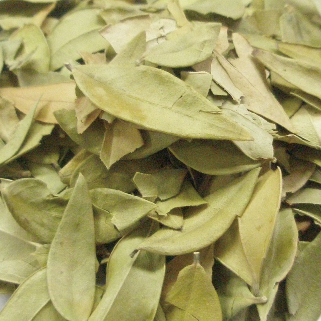 マートル リーフ ホール 20g