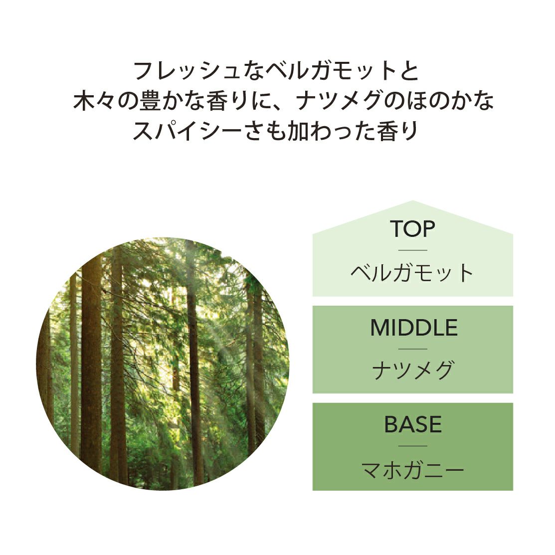 ランプフレグランス ホワイトシダー＆ベルガモット 500ml [アシュレイ＆バーウッド ]