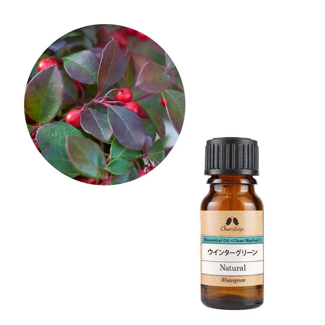 ウインターグリーン オイル 10ml