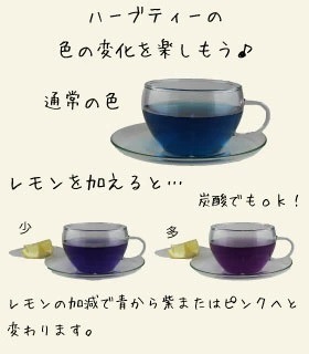 バタフライピー ティーバッグカット 500g