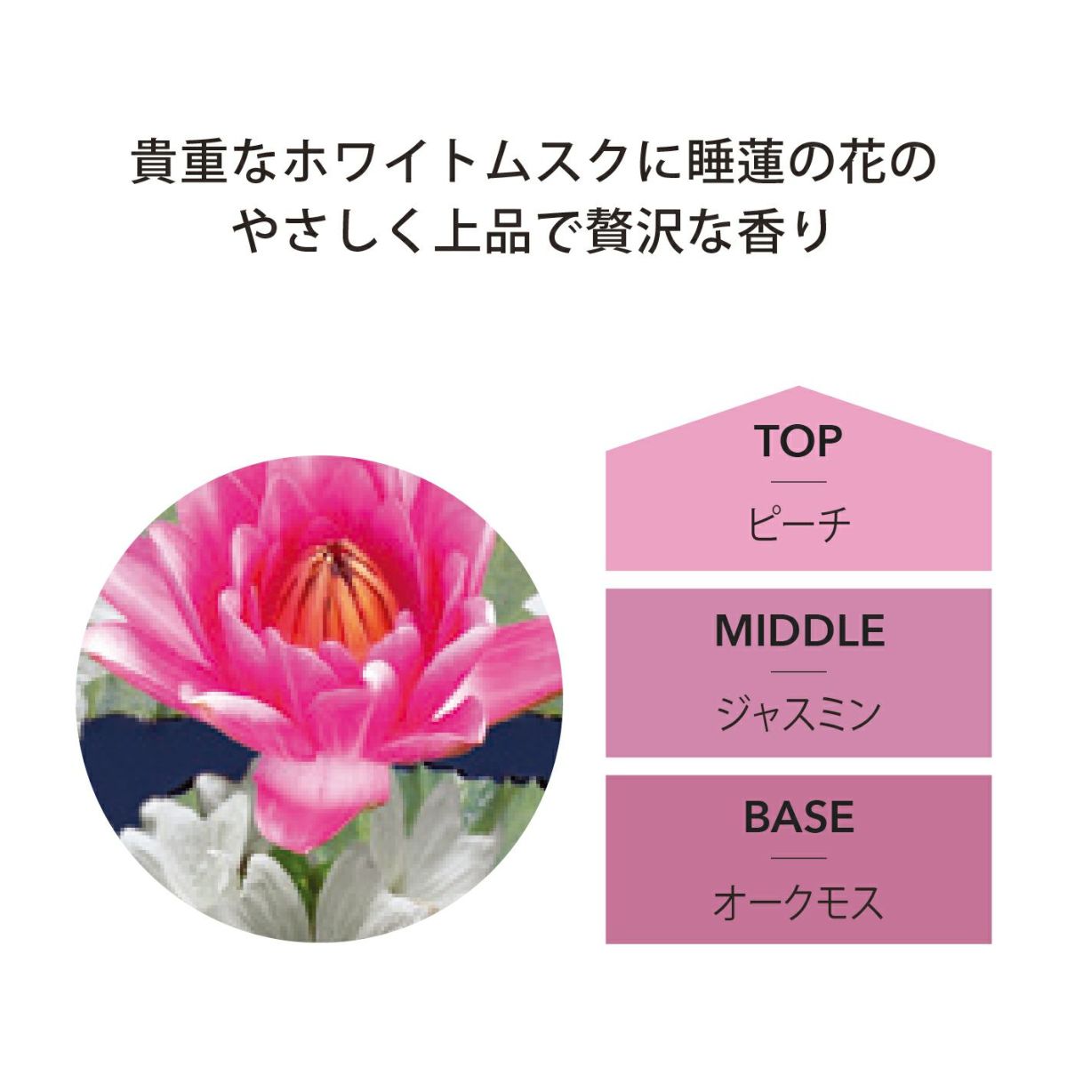 リードディフューザー 200ml ホワイトムスク＆ロータスブロッサム [アシュレイ＆バーウッド ]